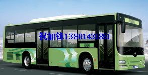 黃?？蛙嚺涮总嚧? style=